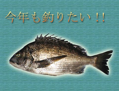 �N���_�C
